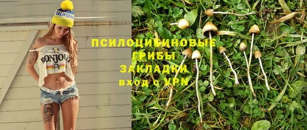 меф Алексин