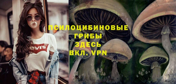 кристаллы Алзамай