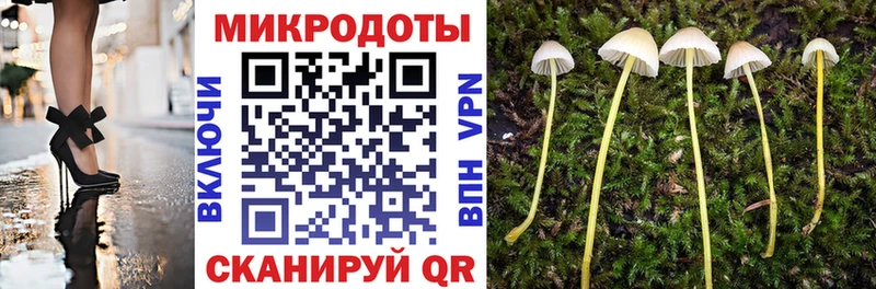 Галлюциногенные грибы Psilocybe  Куртамыш 